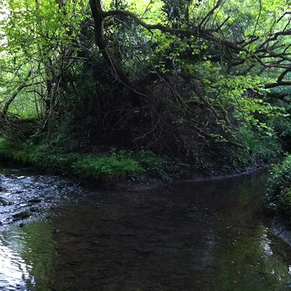 The Ladyfield Brook flowing in from the right to join the Pudding Brook