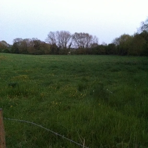 The line of trees showing the course of the Pudding Brook flowing from Patterdown towards the River Avon.