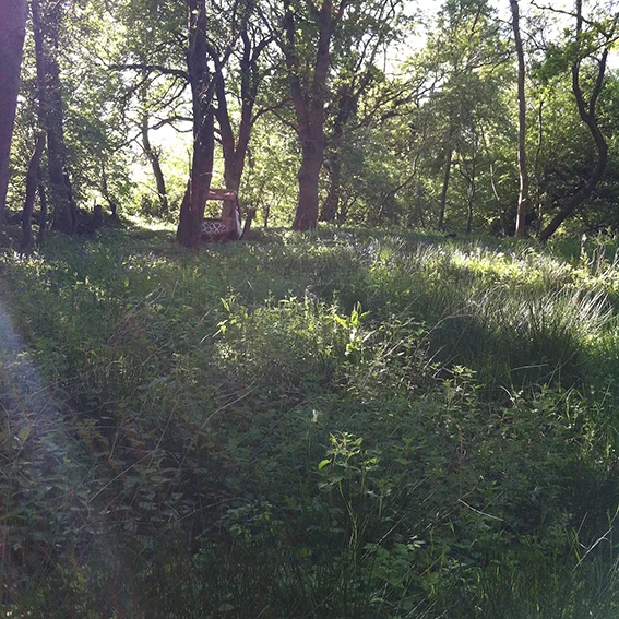 Higher part of the small valley created when earth was moved to build up the railway embankment.