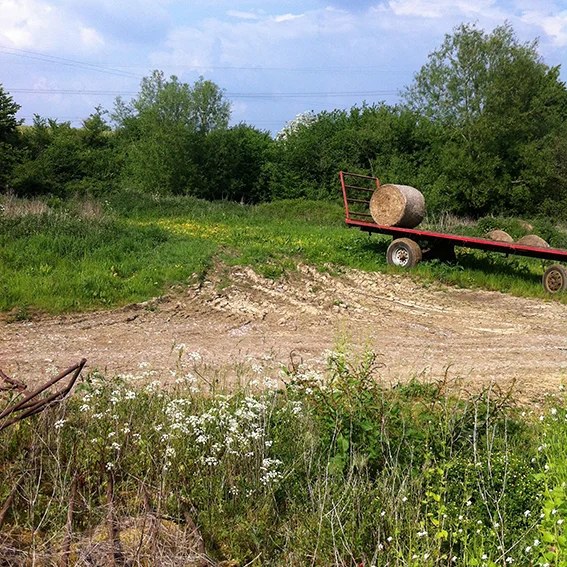 Land next to Mynte Farm. The Pudding Brook runs along the line of trees.