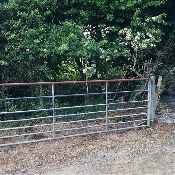 Field gate with the shallow pond which marks the origin of the Jubilee Wood stream situated behind.