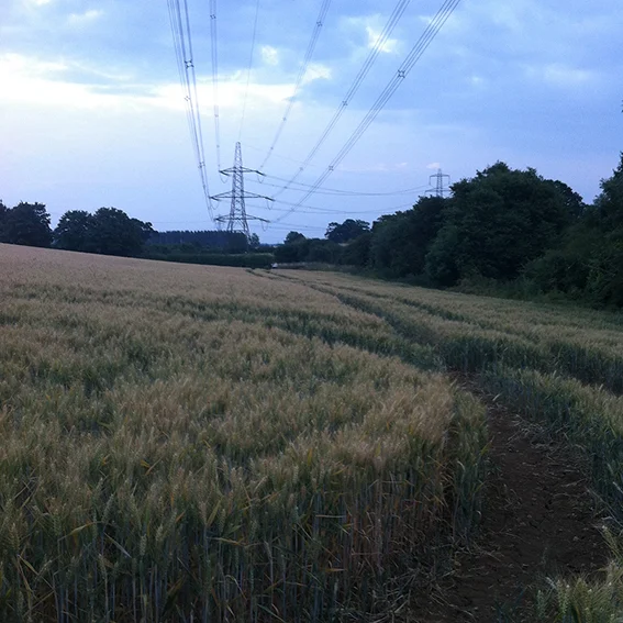 The course of the stream marked by the trees on the right. In the distance; the A4.