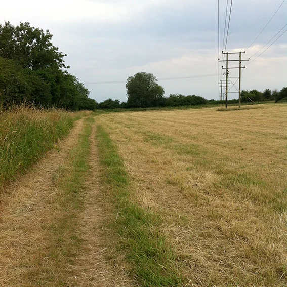 Footpath across the field.