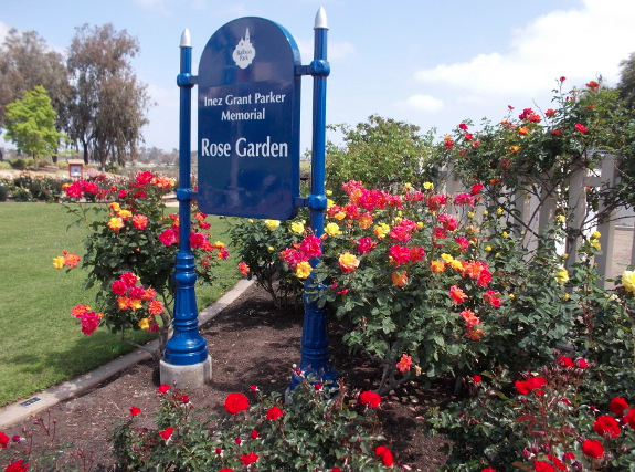 Balboa Park: Rose Garden