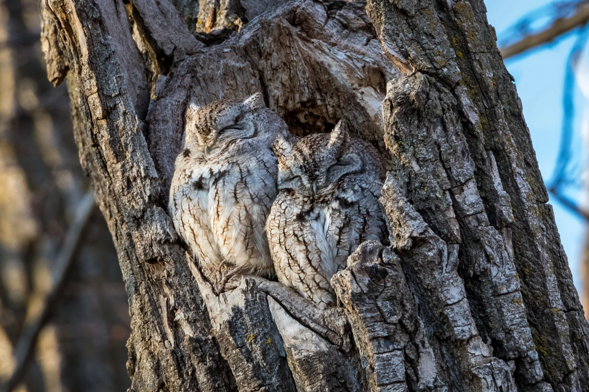Spring Art Show — Quiet Shutter Fine Art & Photography