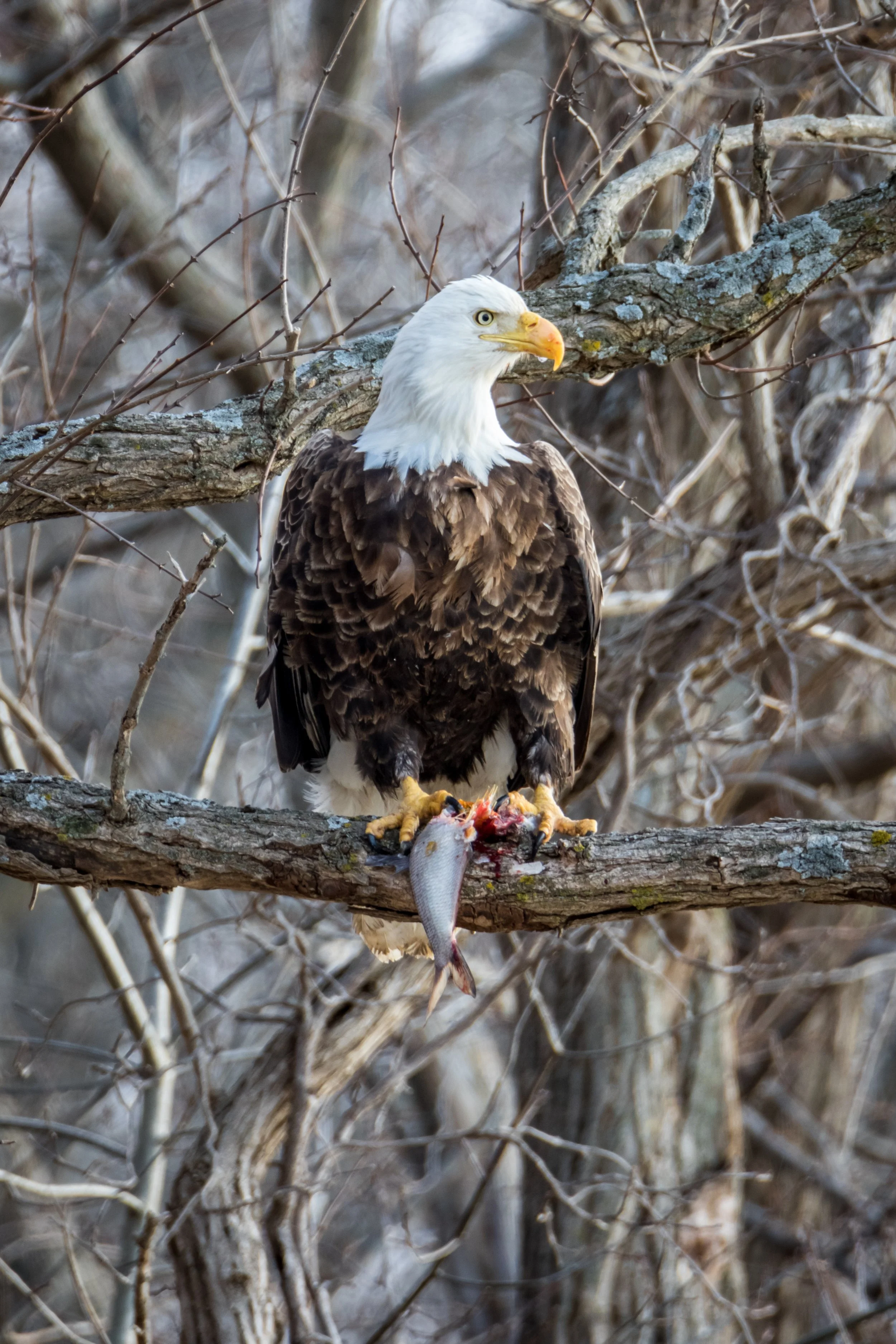 Spring Art Show — Quiet Shutter Fine Art & Photography