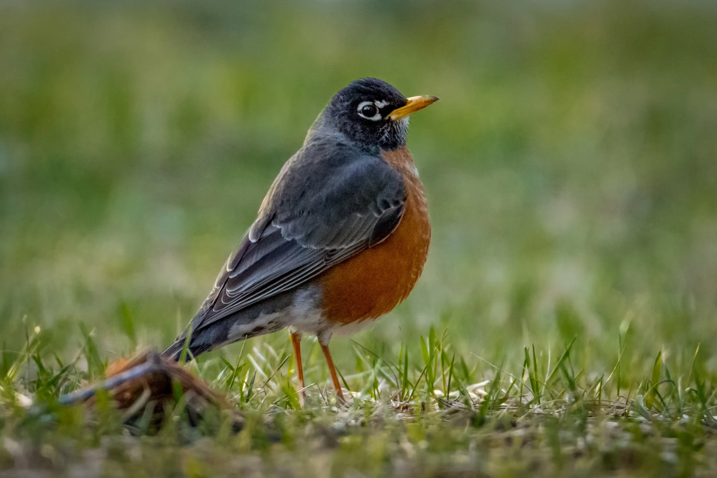Spring Art Show — Quiet Shutter Fine Art & Photography