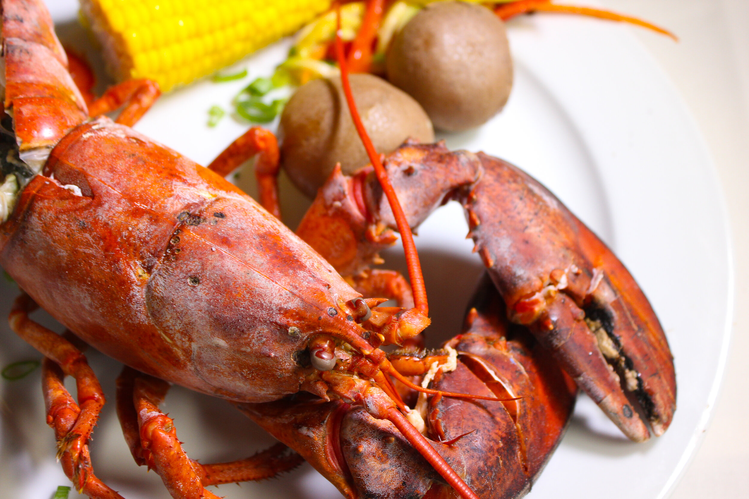 Double Lobster Tails