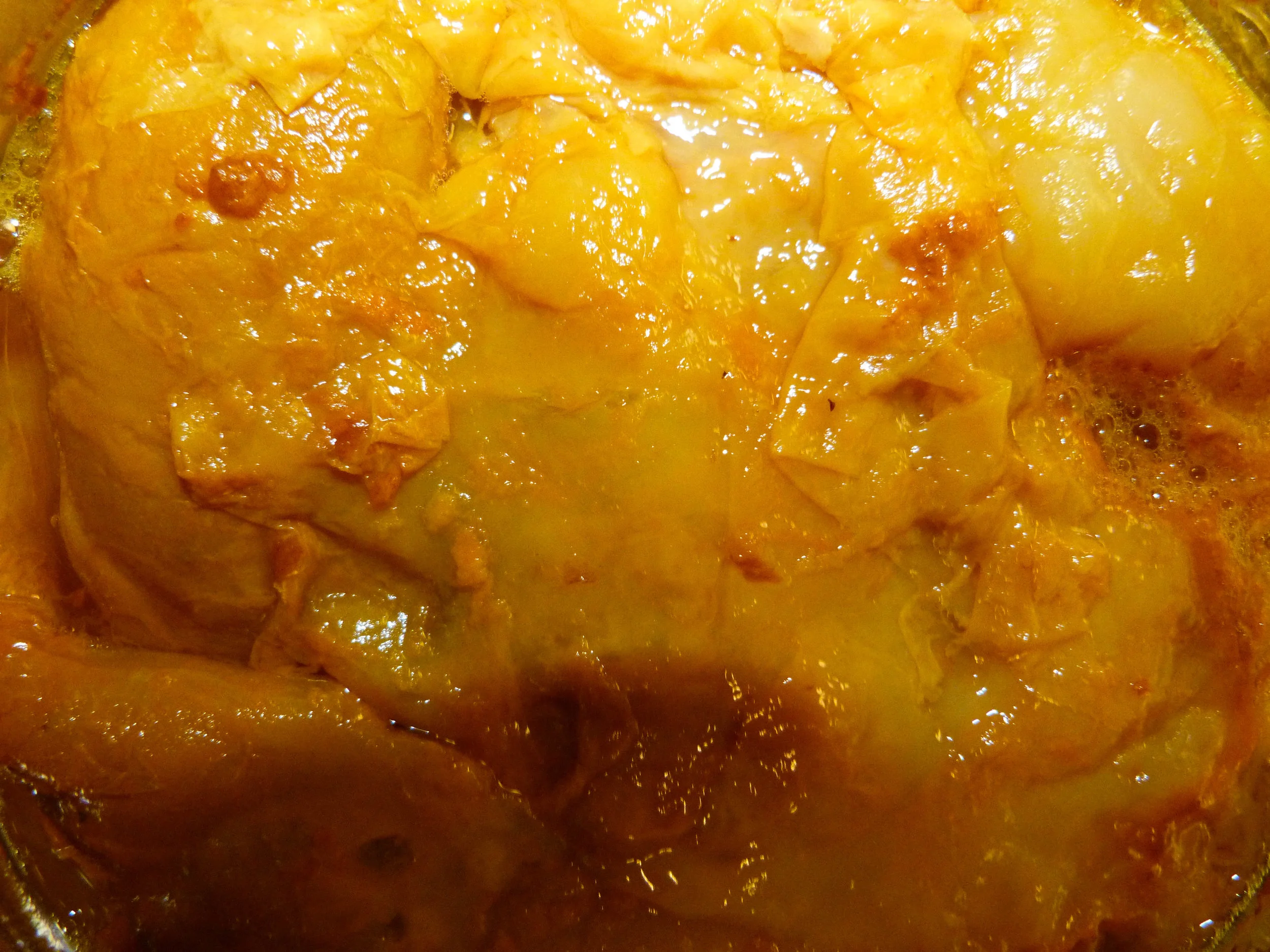 Turmeric SCOBY