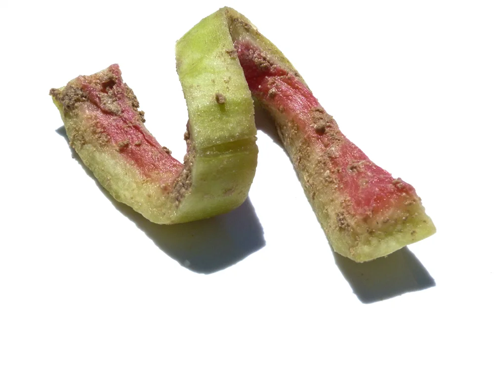 Watermelon Rind Nukazuke