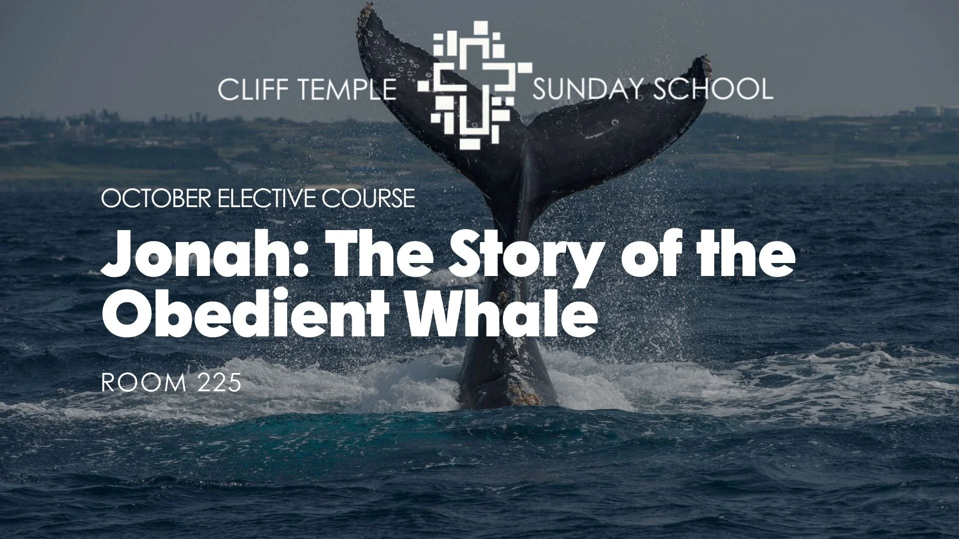 October Elective Course: Jonah and the Story of the Obedient Whale