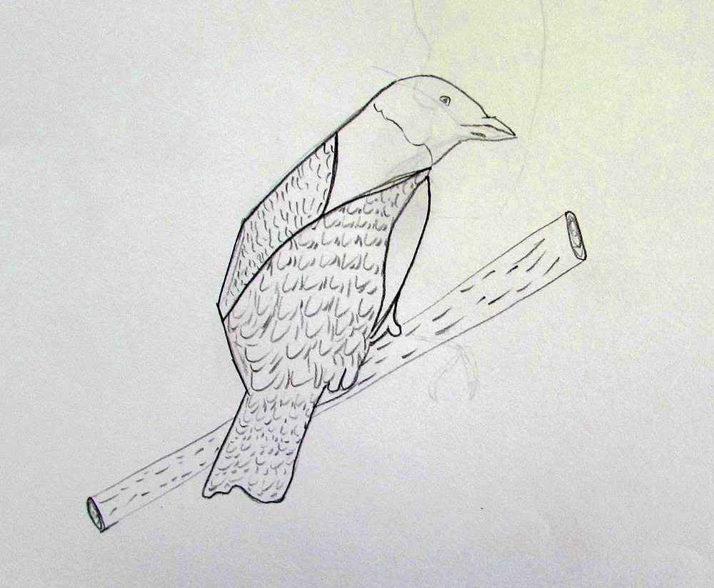 revart47SS.jpg
