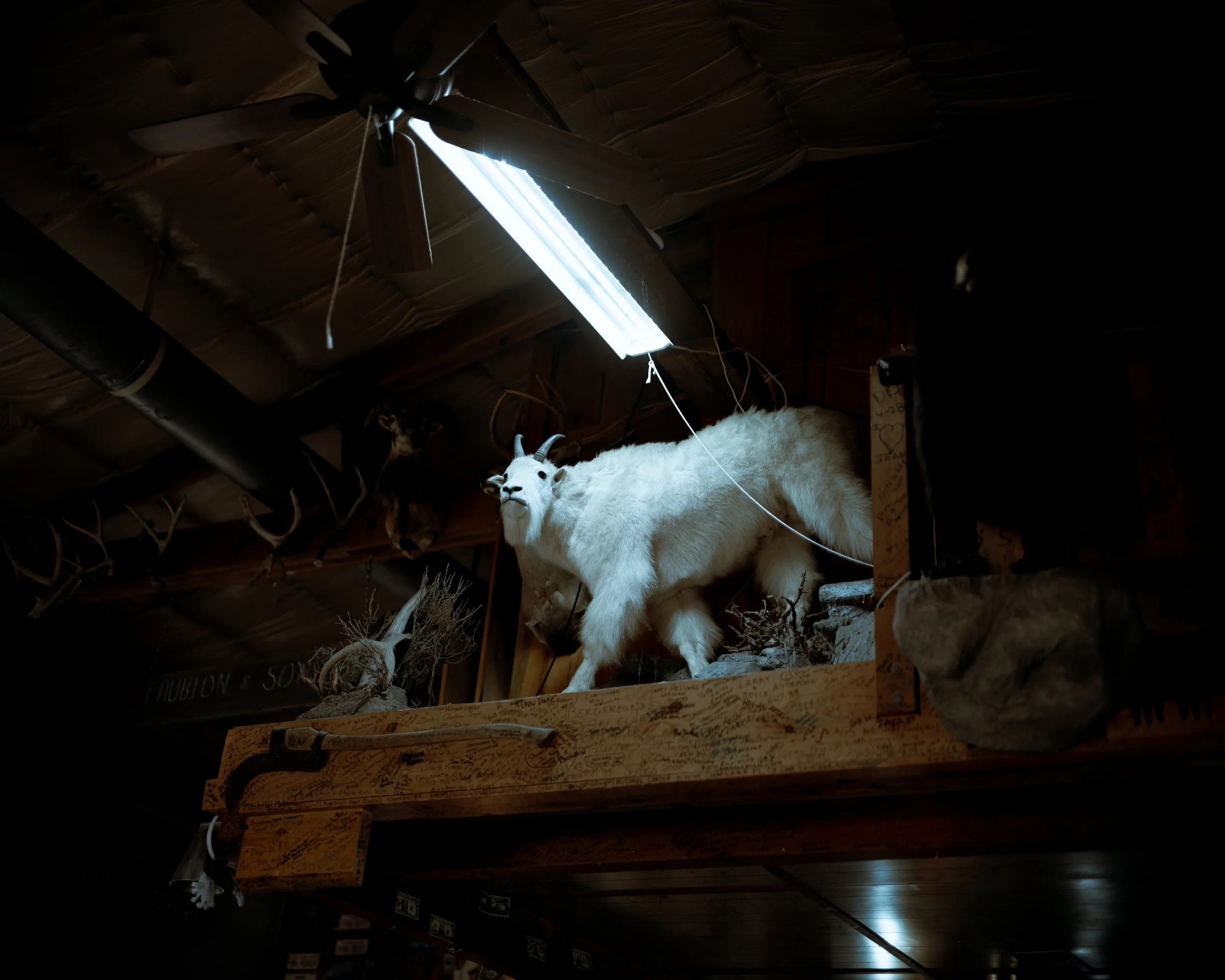 DSCF7581.jpg