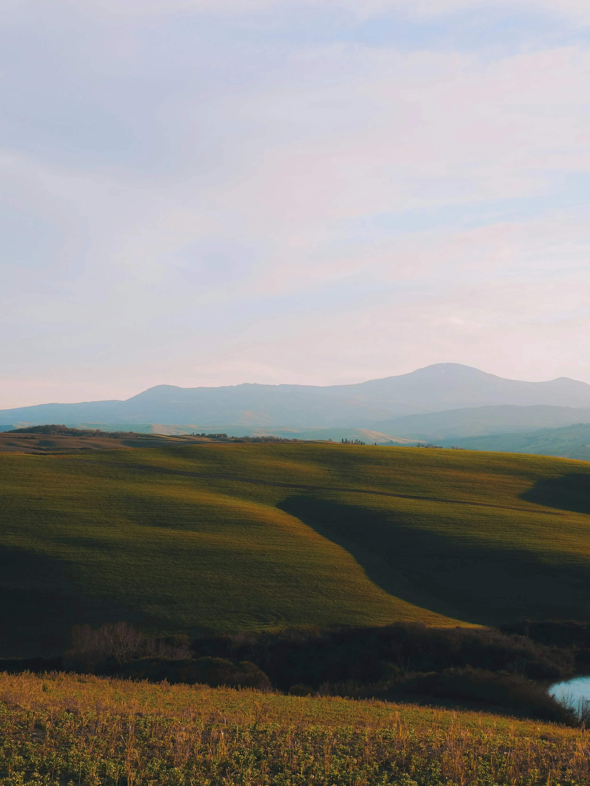 pat-whelen-wiAv-qnxRUY-unsplash (3).jpg