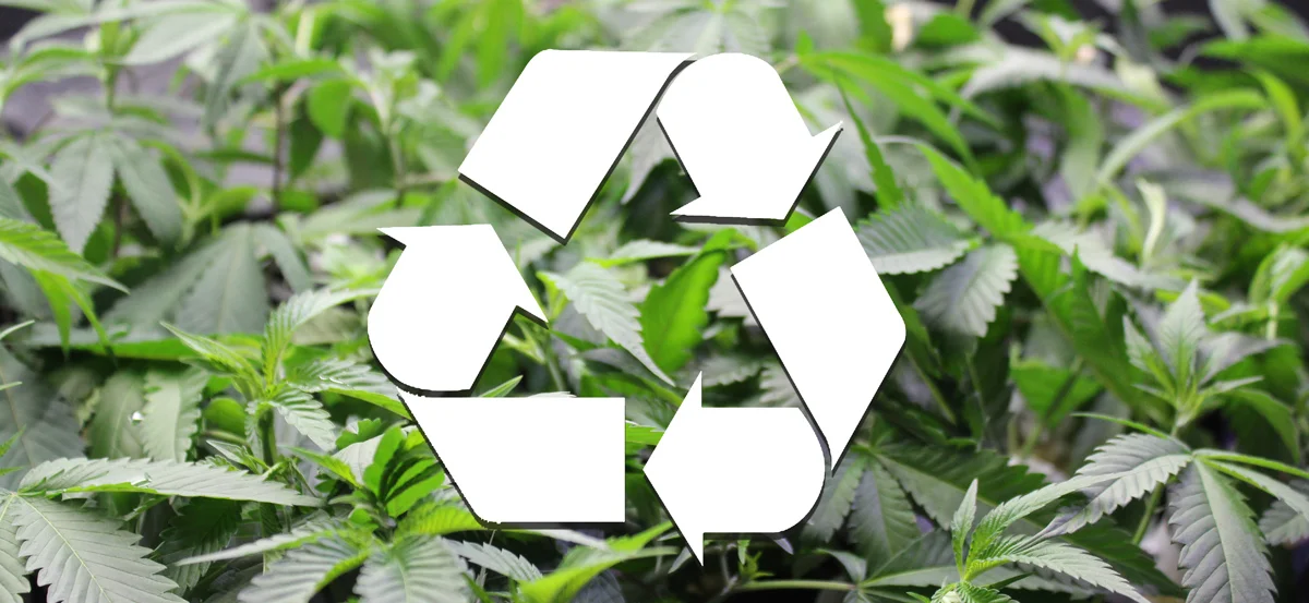 cannabis-recycle-web.jpg