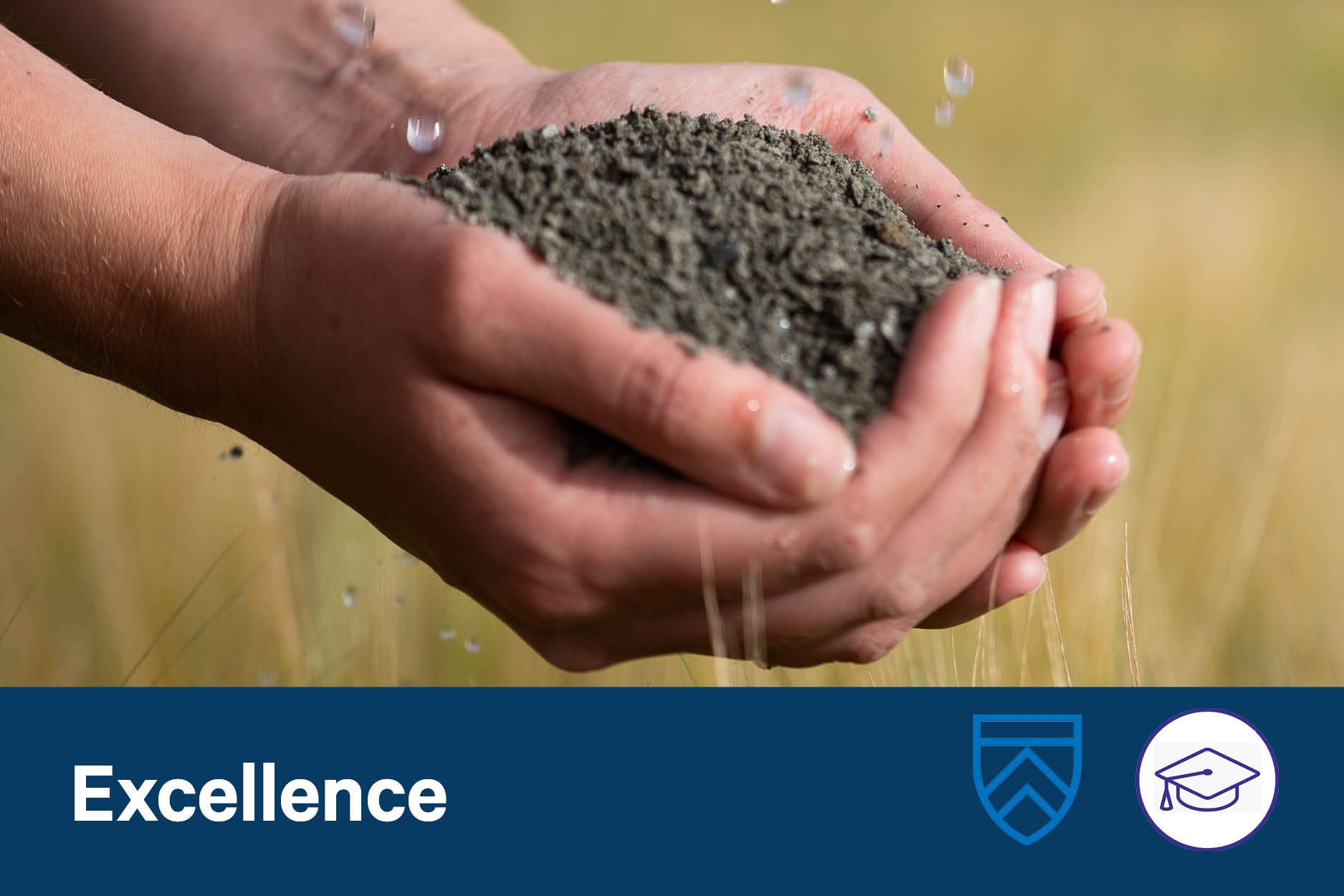 Hacking silicate weathering for climate mitigation