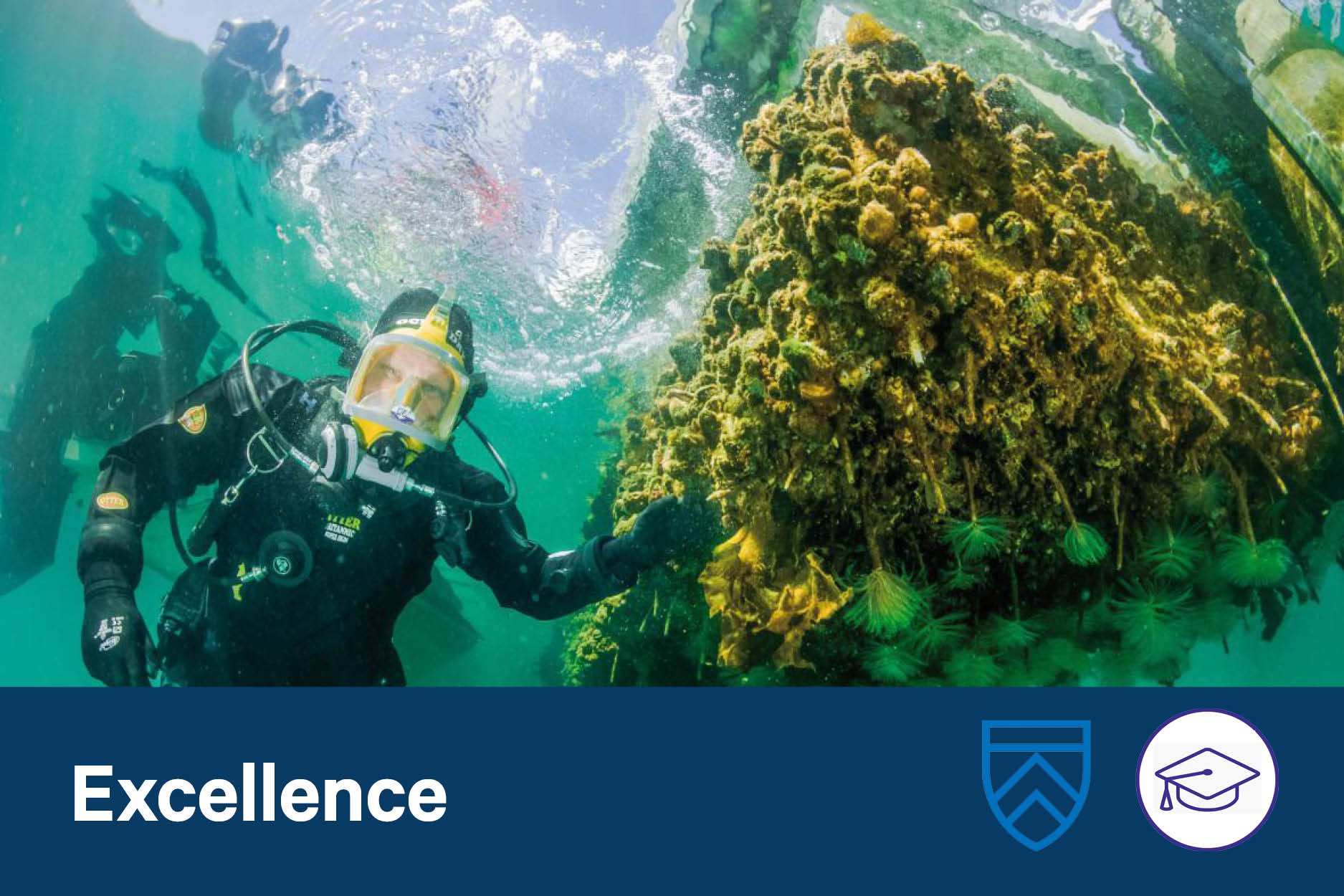 Marine Biosecurity: A 30 Year Retrospective on Delivering Outcomes in a Fluid Environment