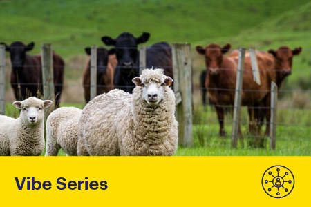 The Future of Animal Welfare – Science, Standards and Social Licence