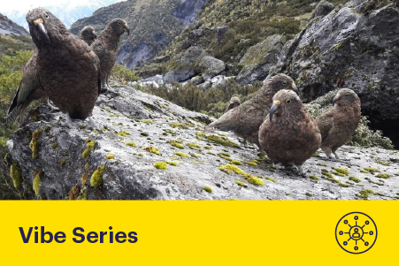 Predator-Free Futures: Innovation in Action