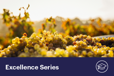 How will climate change shape the future of wine?
