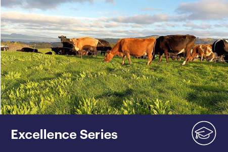 Reducing nitrate leaching by up to 50%: pathways to low-N dairy systems
