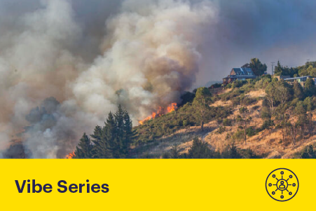 Fire Ecology: Science, Risk, and Resilience
