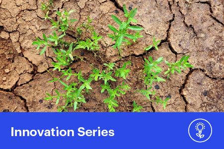 Water, Soil and Biodiversity: Building Farming Systems that Maintain Ecosystem Services