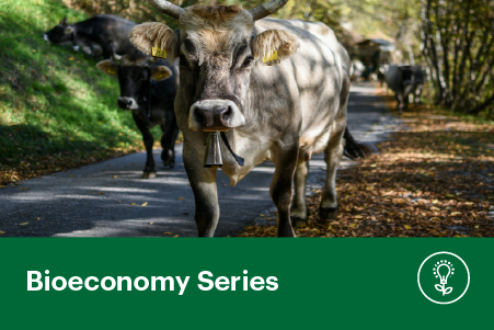 Reducing Nitrous Oxide: Science and Solutions for a Low-Emissions Future