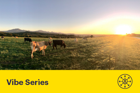 Less Gas, More Grass: Rethinking Nitrogen