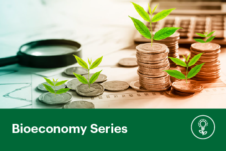 Agricultural Economics and the Bioeconomy: Navigating Sustainable, Resilient Systems