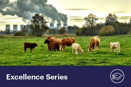 Mitigating Greenhouse Gas Emissions and Water Contamination from Grazed Pastures