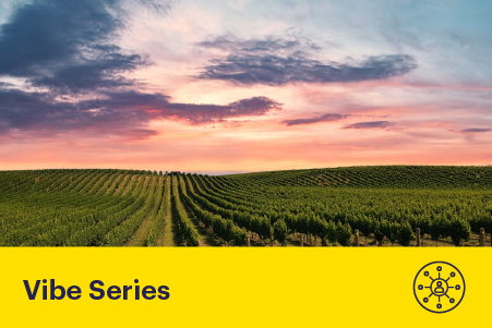 The Future of Wine: Innovation in Aotearoa’s Vineyards