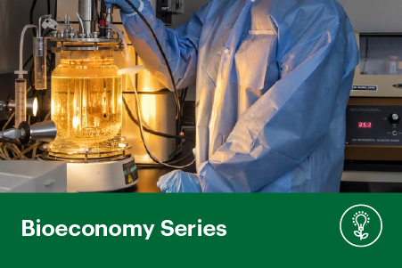 Harnessing Microbial Fermentation: Innovation for a Sustainable Bioeconomy