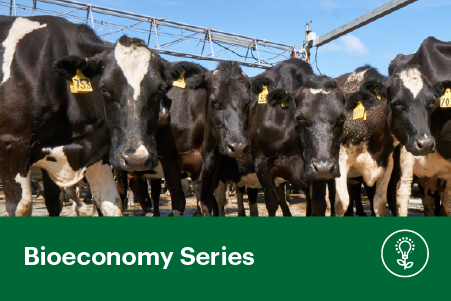 From Pathogens to Preparedness: The Science Protecting New Zealand's Livestock