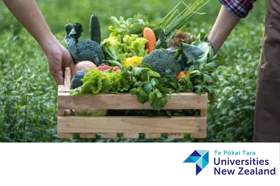 Why Is Food So Expensive When New Zealand Produces So Much?