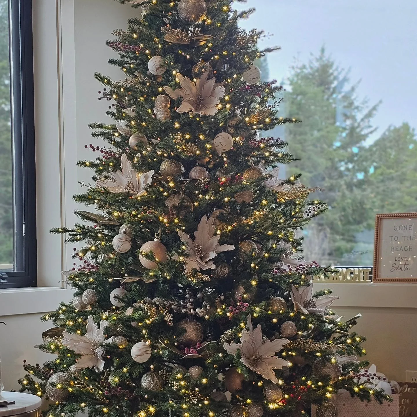 Santa sighting 🎅🏼🎄

Using AI to show Santa in front of your tree is such a fun way to keep the magic alive for kids (and adults 😉).
Highly recommend trying it.
If you try it,  I would love to see your photos