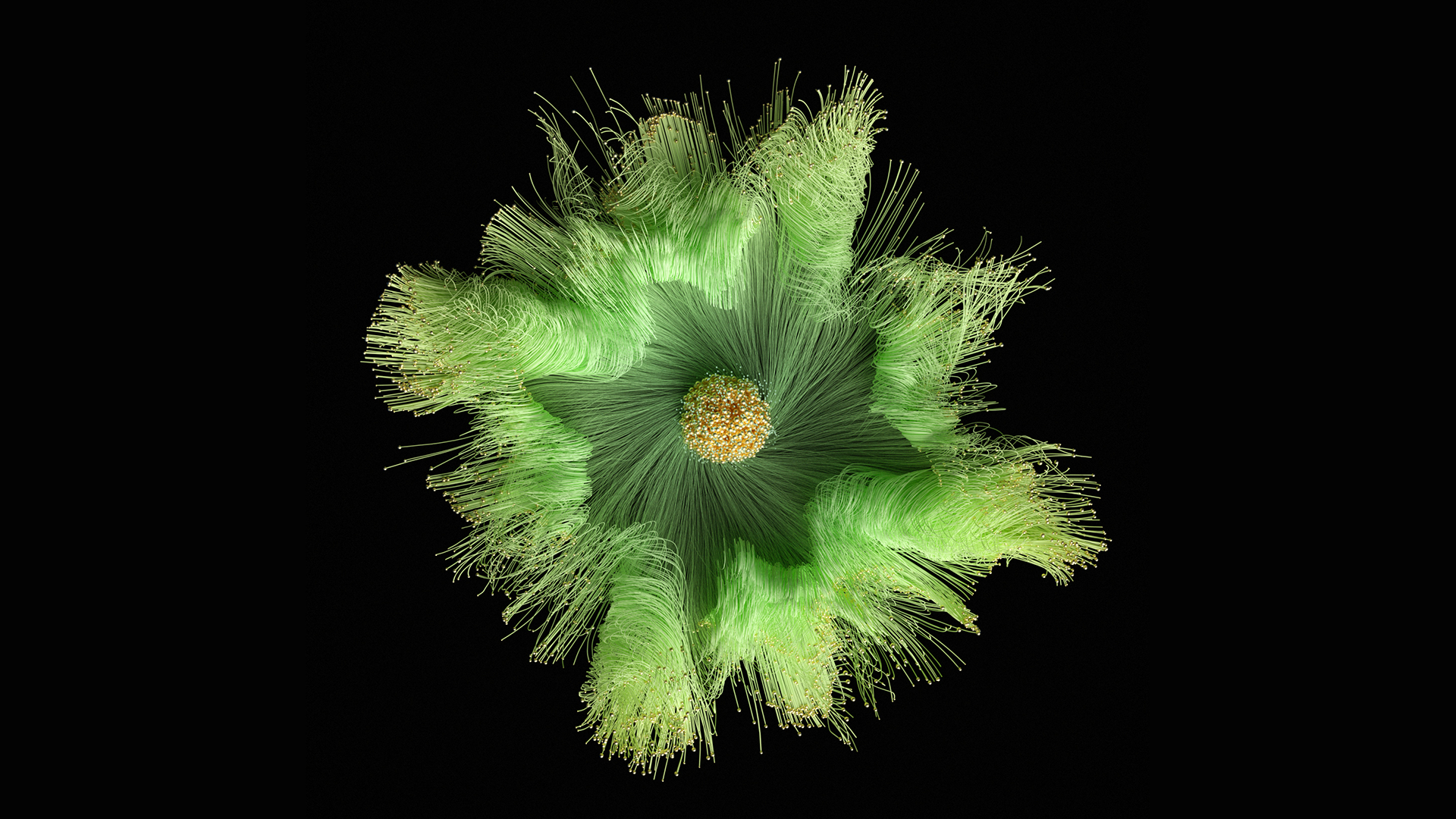 flor.png