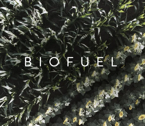 LP_BIOFUEL_MOBILE.jpg