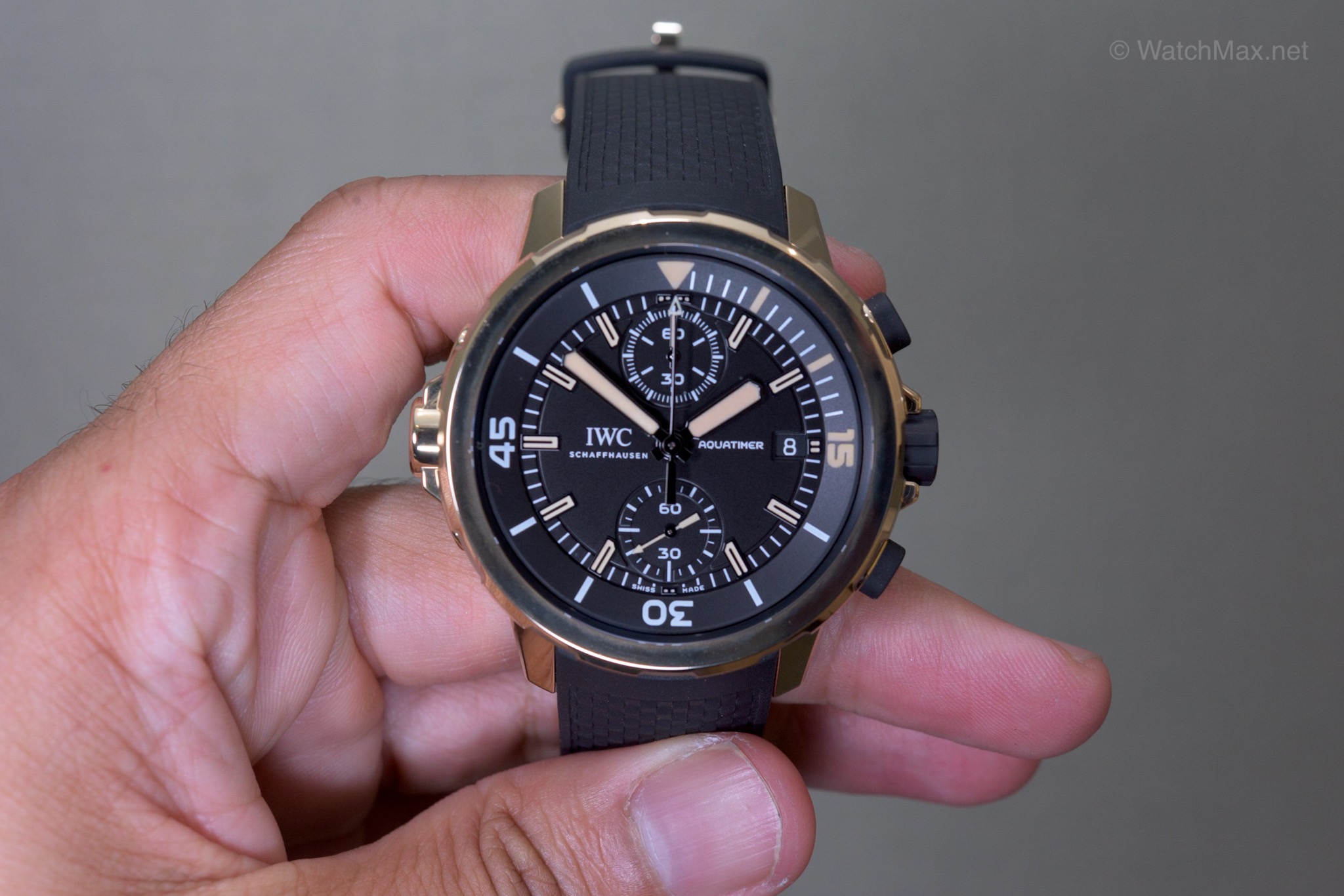  IWC Aquatimer “Charles Darwin” bronze diving watch 