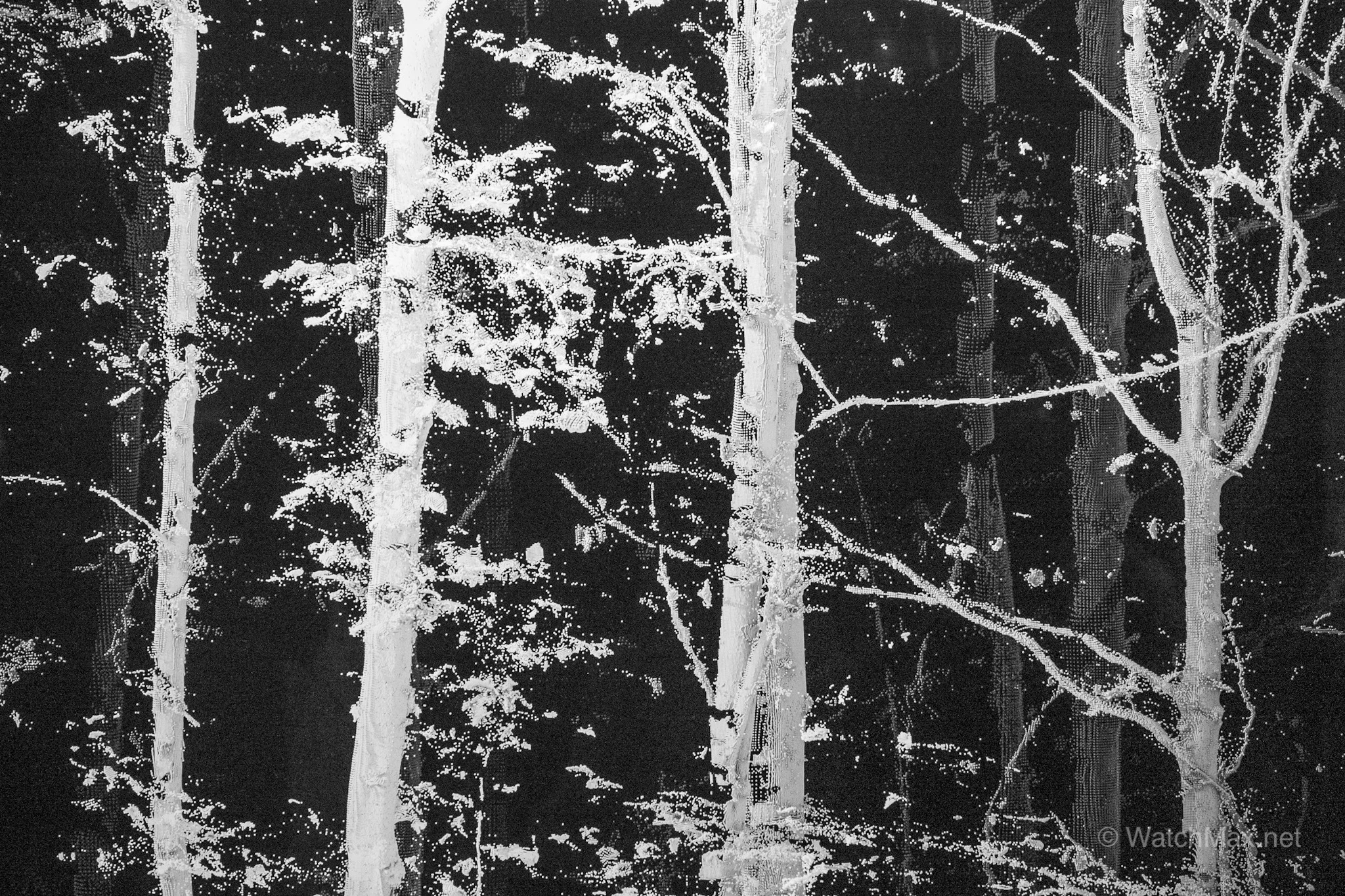 Snapshot of Quayola’s video, piercing into the heart of the Vallée de Joux’s forests