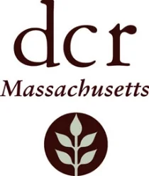 DCR.jpg
