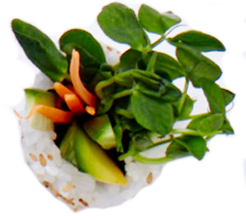 Sushi2.png