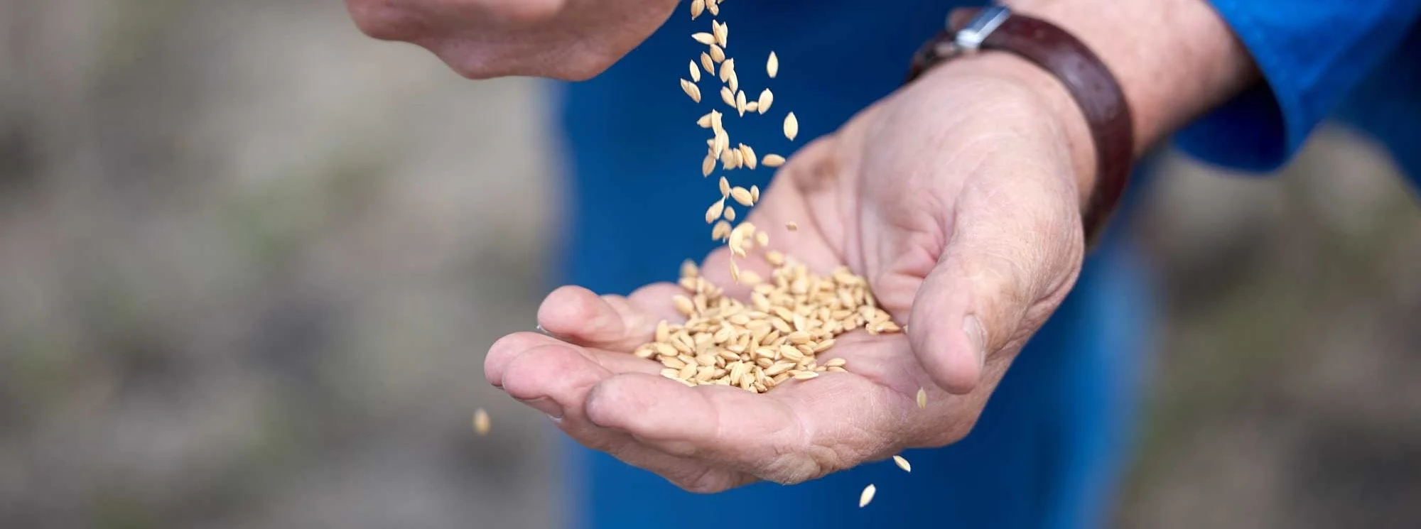 Rice2Full-73web.jpg