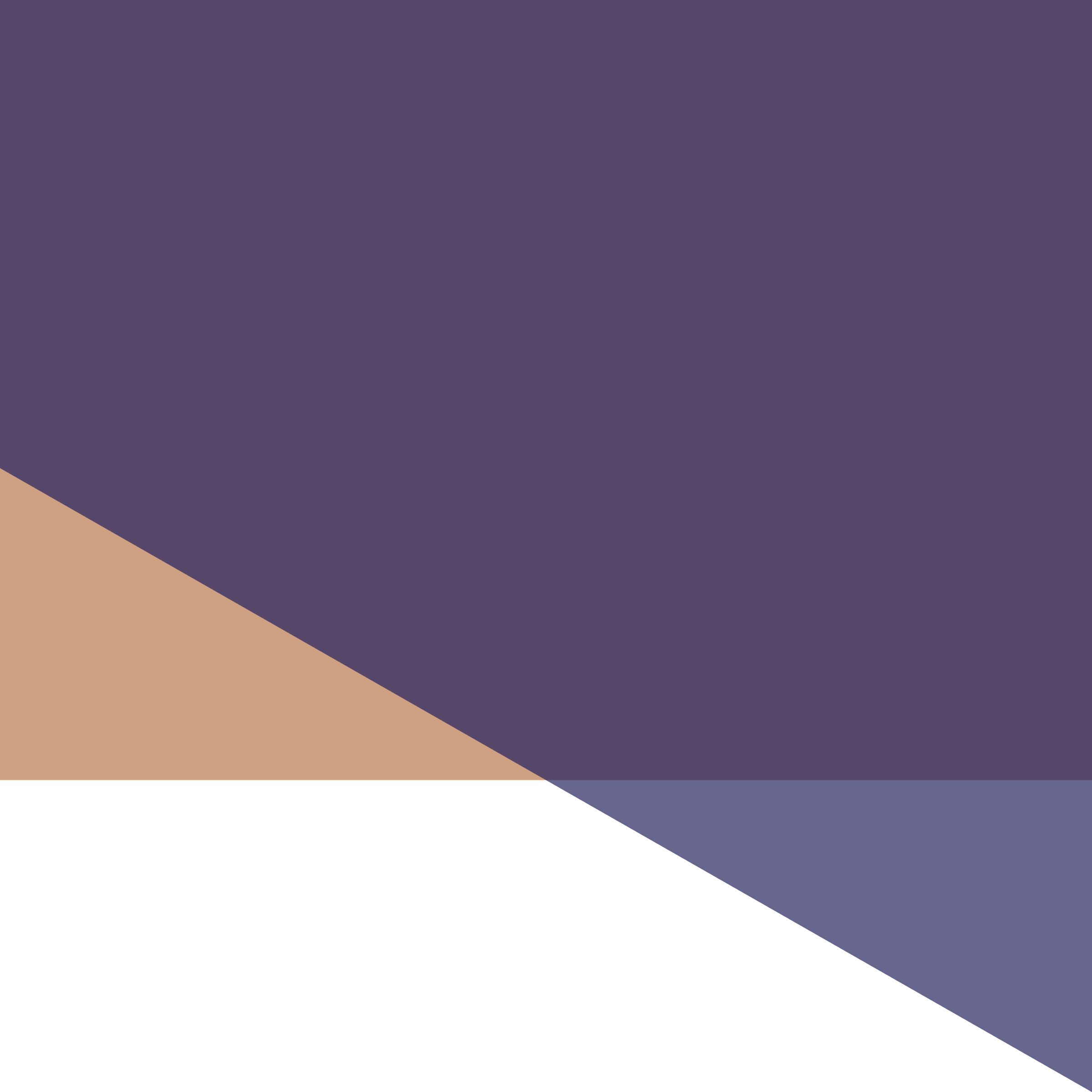 F_NAVY_B.png