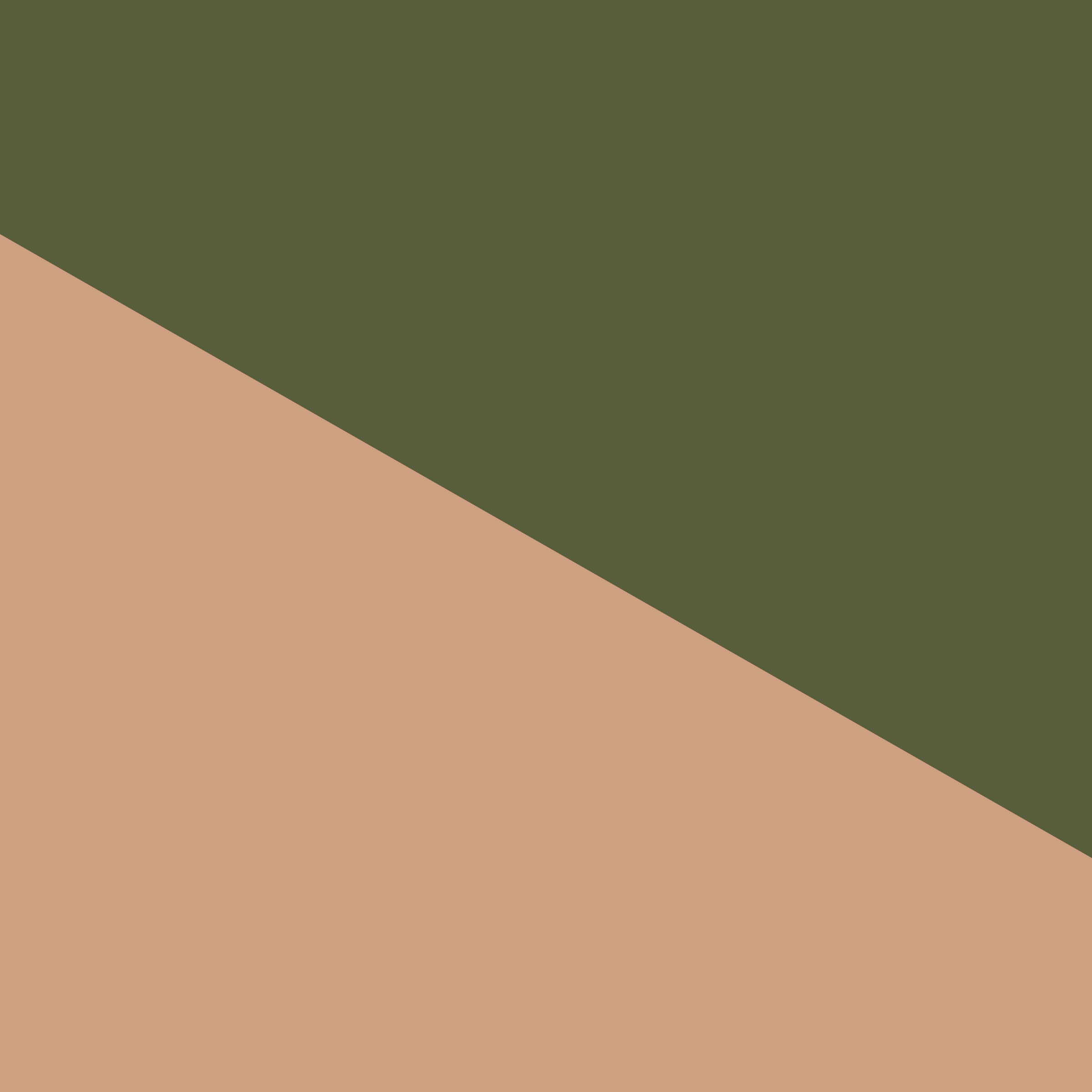 F_EVERGREEN_A.png