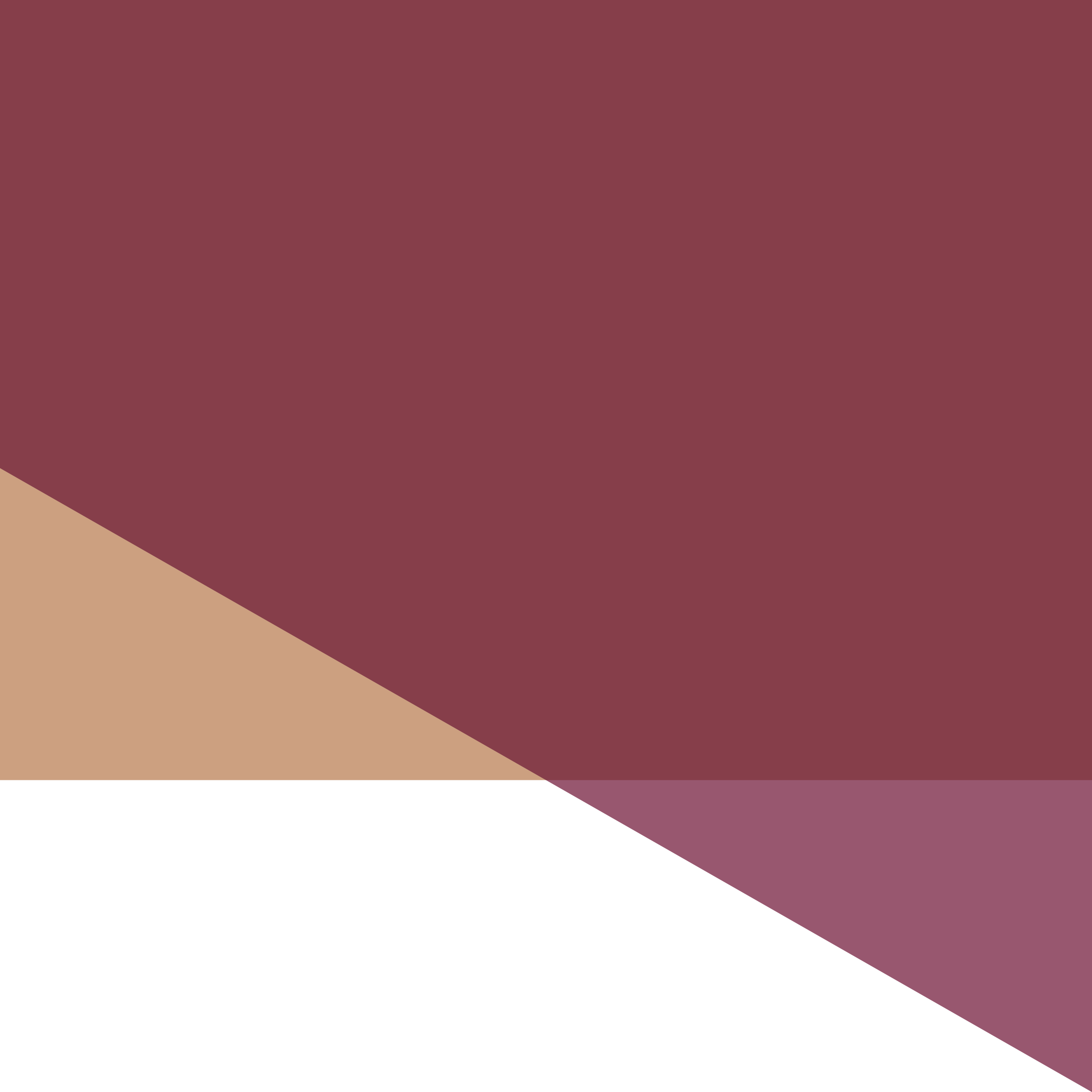 F_BURGUNDY_B.png