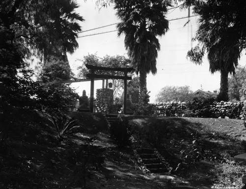 The Tea House