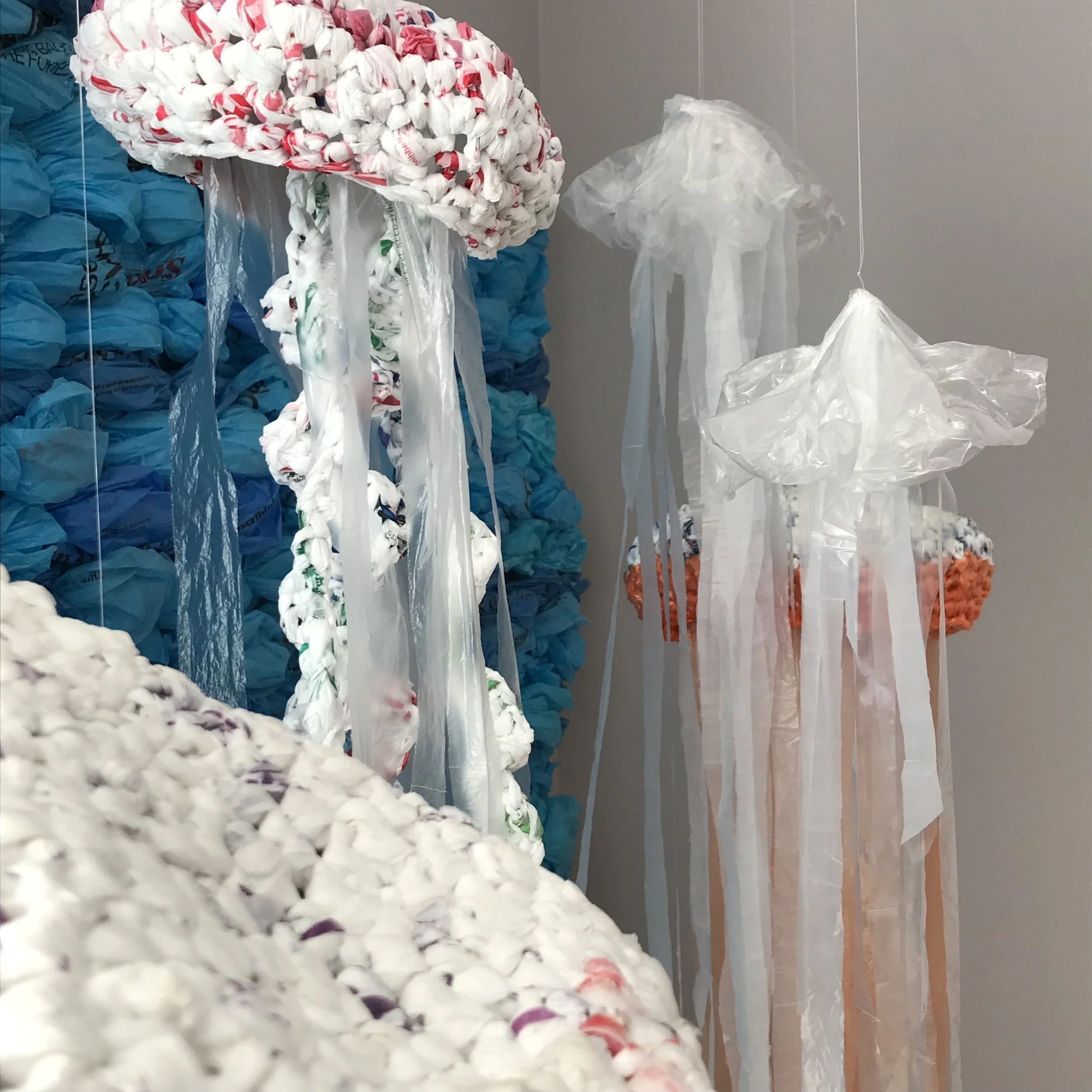 Jelly Nation, 2017, Marsha Borden