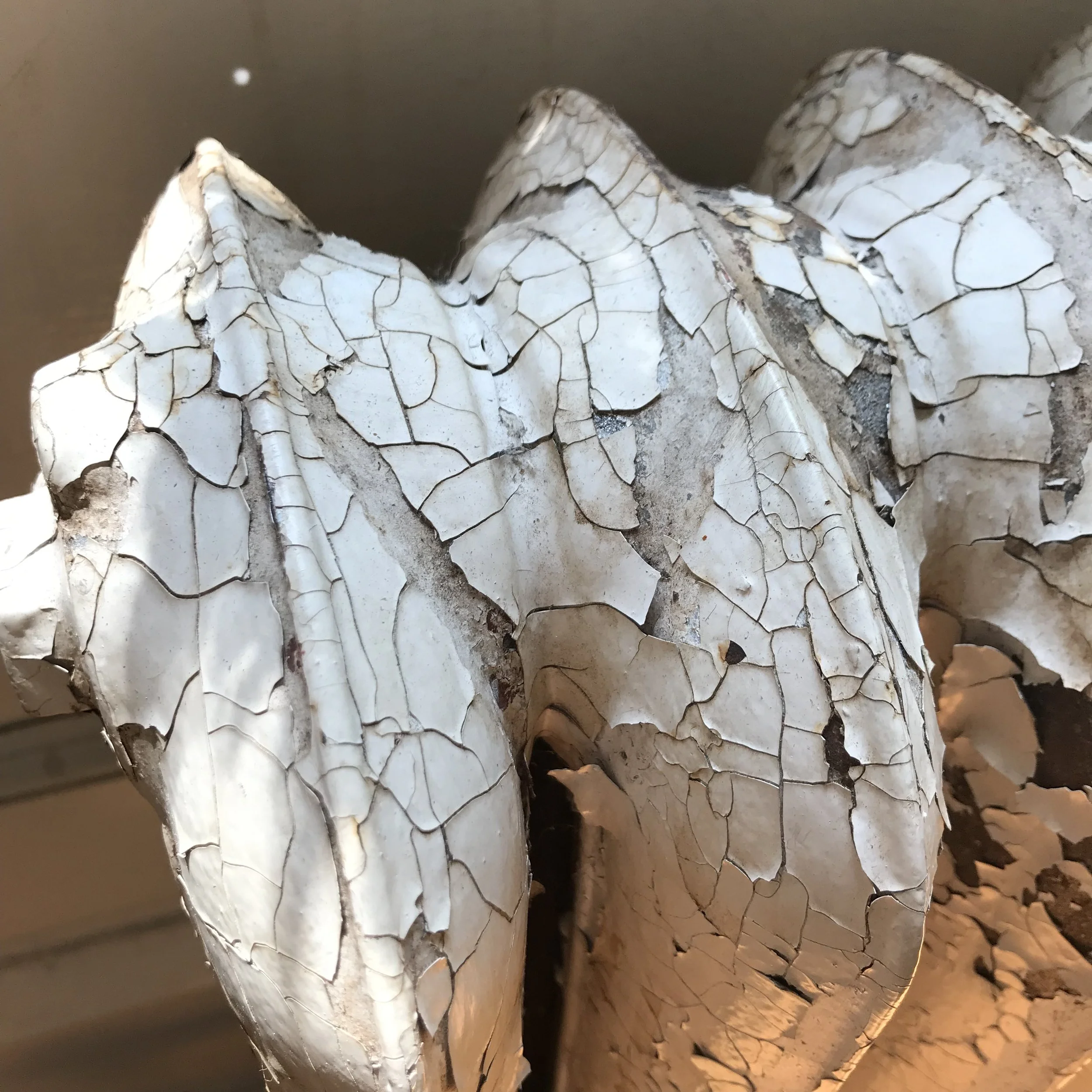 Radiator, 2019, Marsha Borden