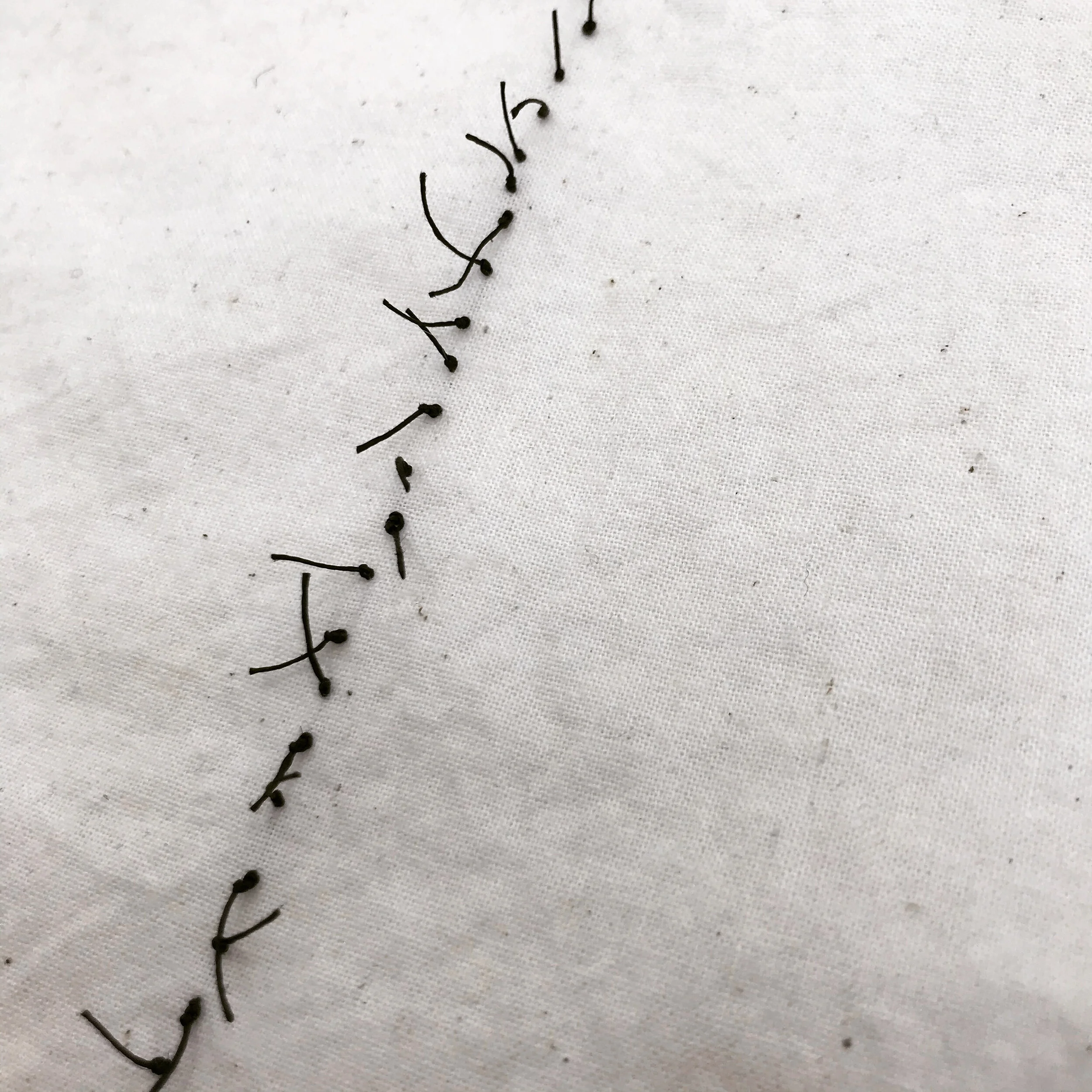 100, 2021, Marsha Borden 